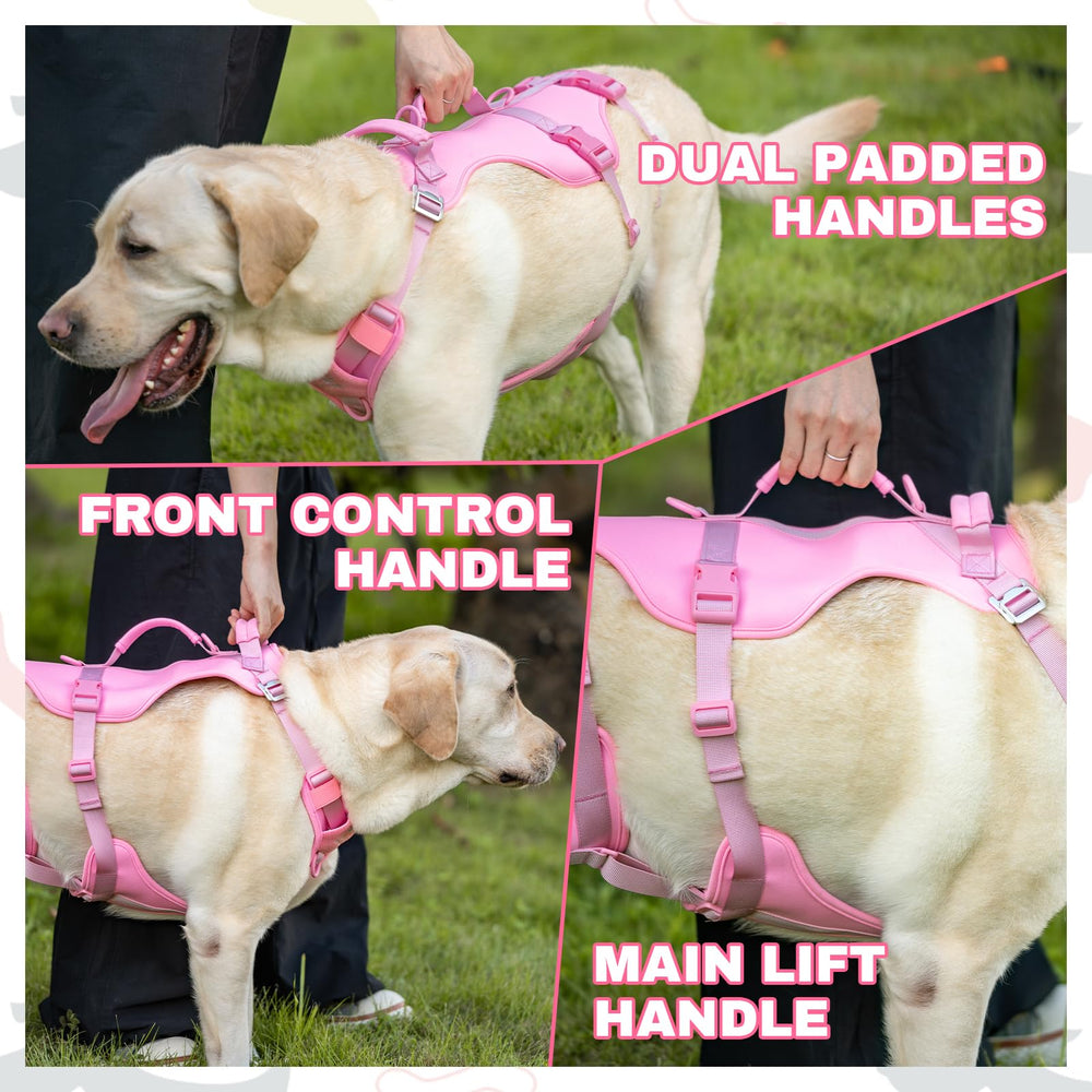 Arblina escape-proof dog harness back-attachment supports versatile leash setups