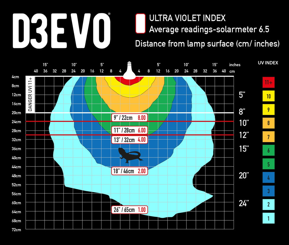 Arcadia D3Evo UV-B Basking Lamp inside enclosure setup promotes natural basking behavior.