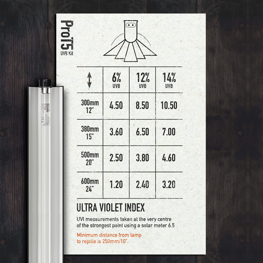 Arcadia Pro T5 UVB Lighting Kit angled-reflector highlights focused UV-B flood near enclosure