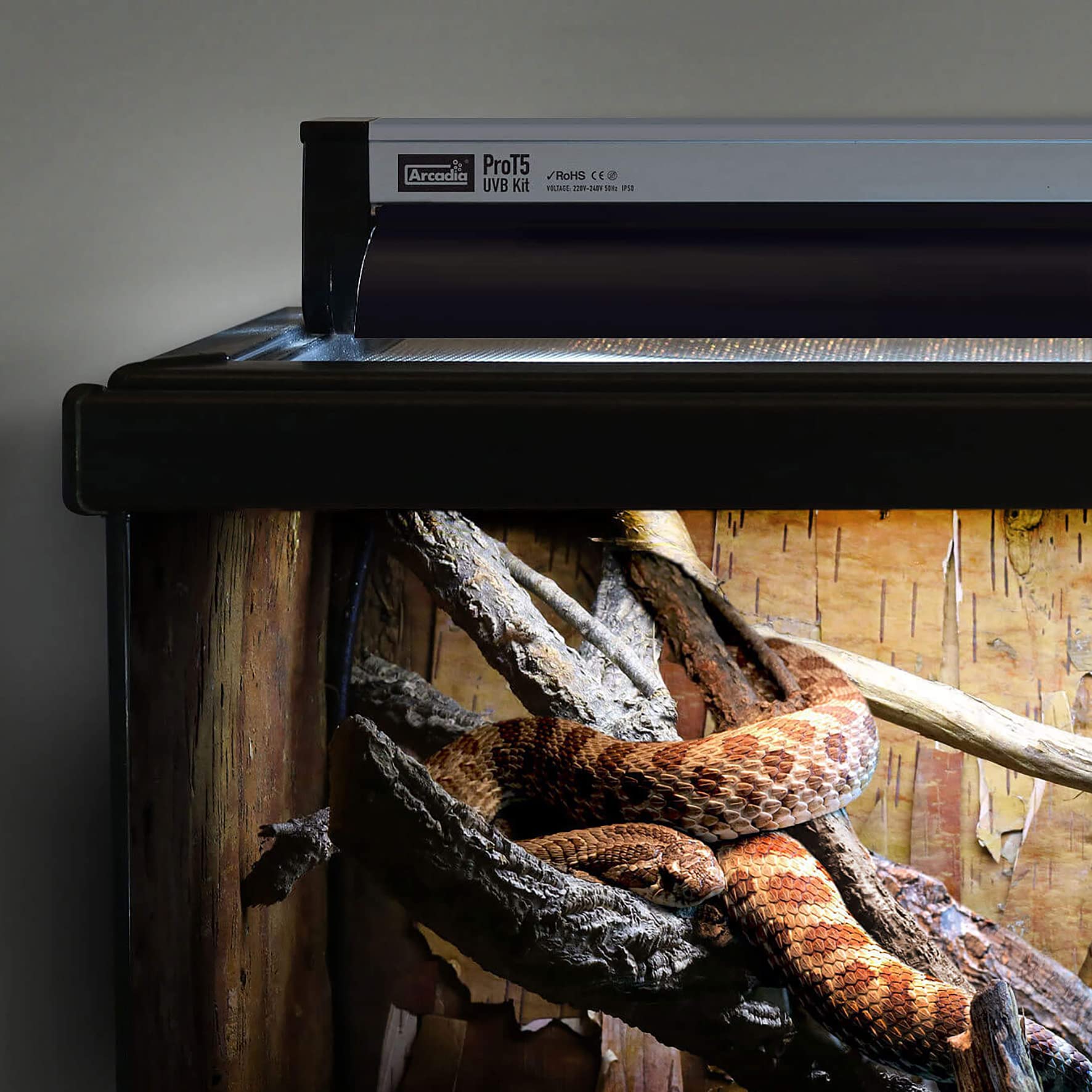 Arcadia Pro T5 UVB Lighting Kit inside vivarium demonstrates easy top-mounted installation