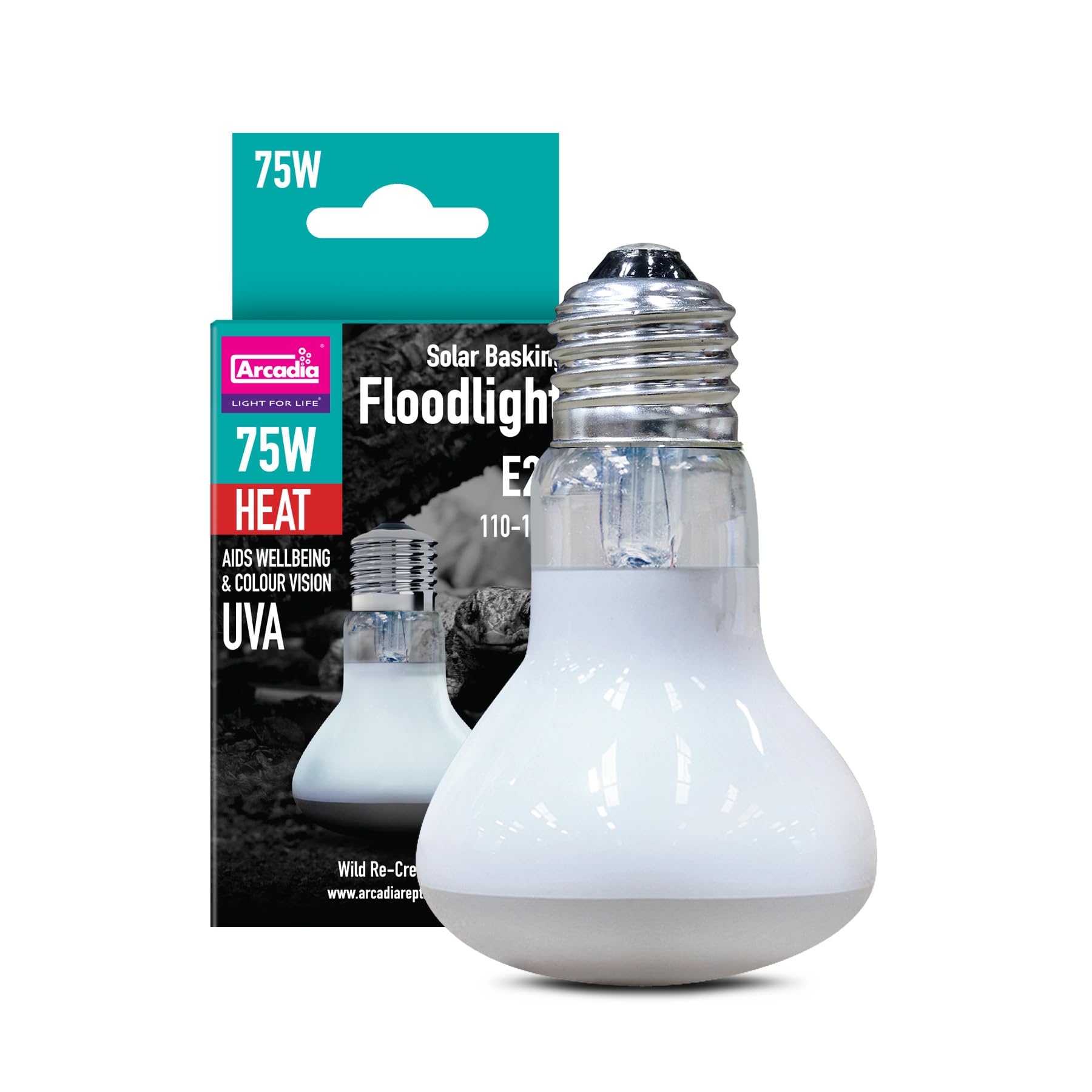 Arcadia Solar Basking Floodlight 75W over enclosure demonstrates even heat distribution