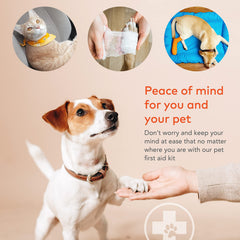ARCA PET portable lightweight kit fits in your backpack for trips.