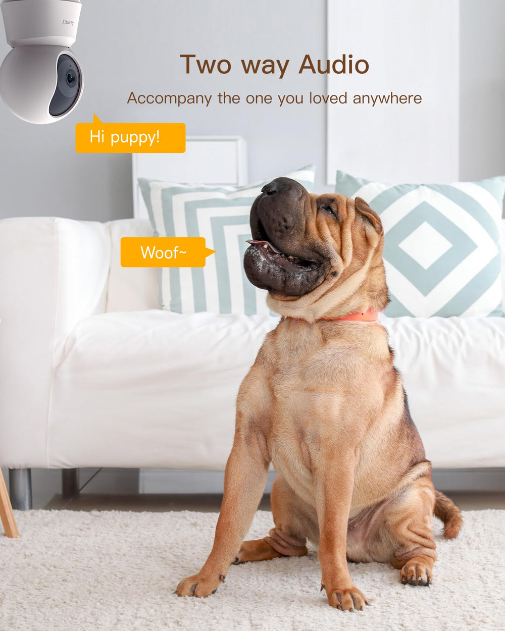 ARENTI 2-way talk enables remote conversations with family and pets.