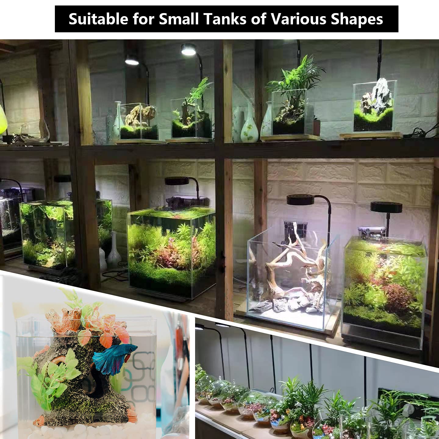 AREPK aquarium light with timer demonstrates auto on/off convenience