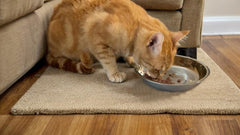 Arespark 5.5-inch diameter bowls demonstrate durable, rust-resistant construction.