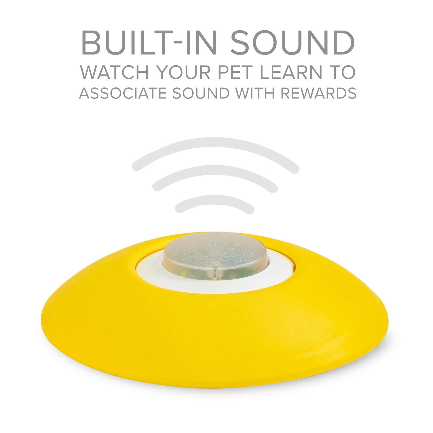 Arf Pets outdoor stake option for versatile play outside