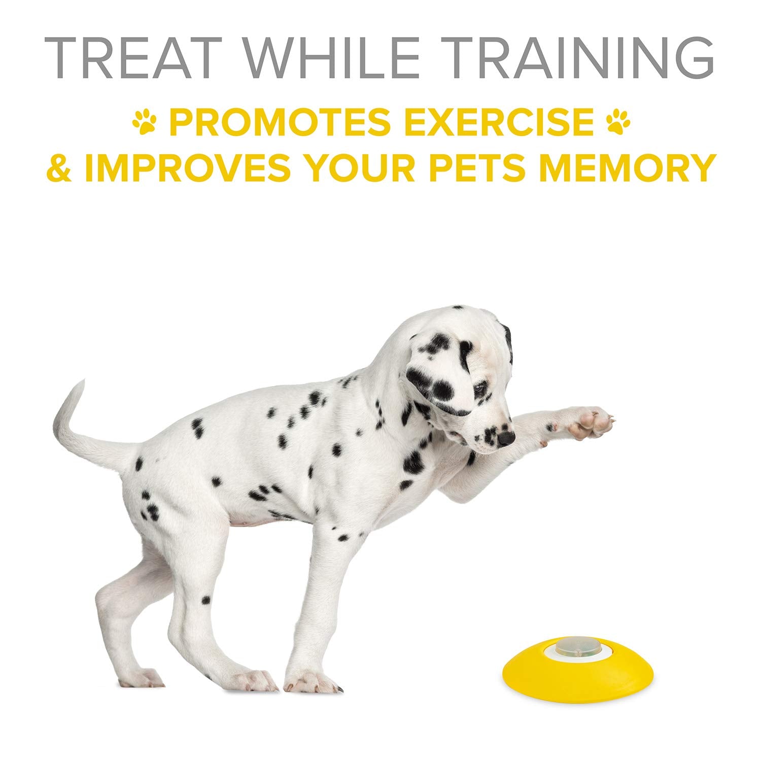 Arf Pets remote button view enables convenient rewards to reinforce training