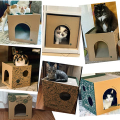 ARGOPET Cardboard Cat House scratch pads close-up showing durable surface