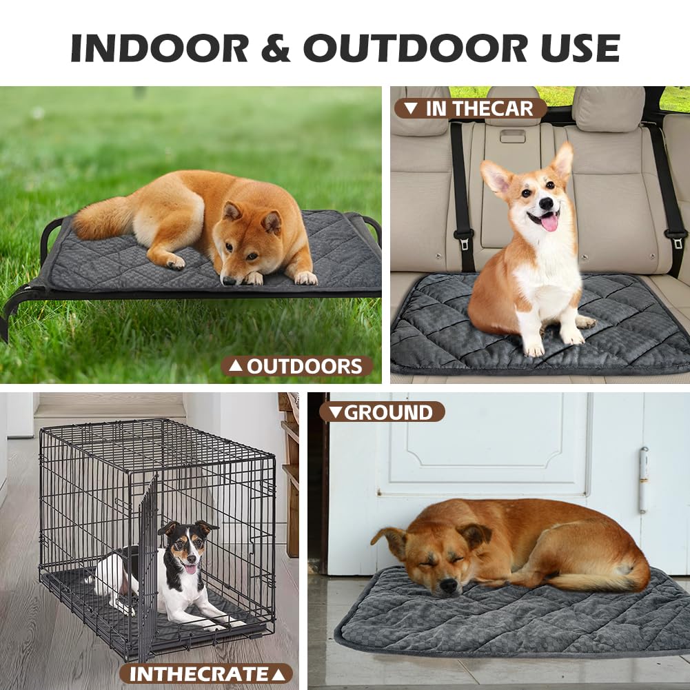 ARGOPET Cat Bed ready for outdoor use on porch or balcony