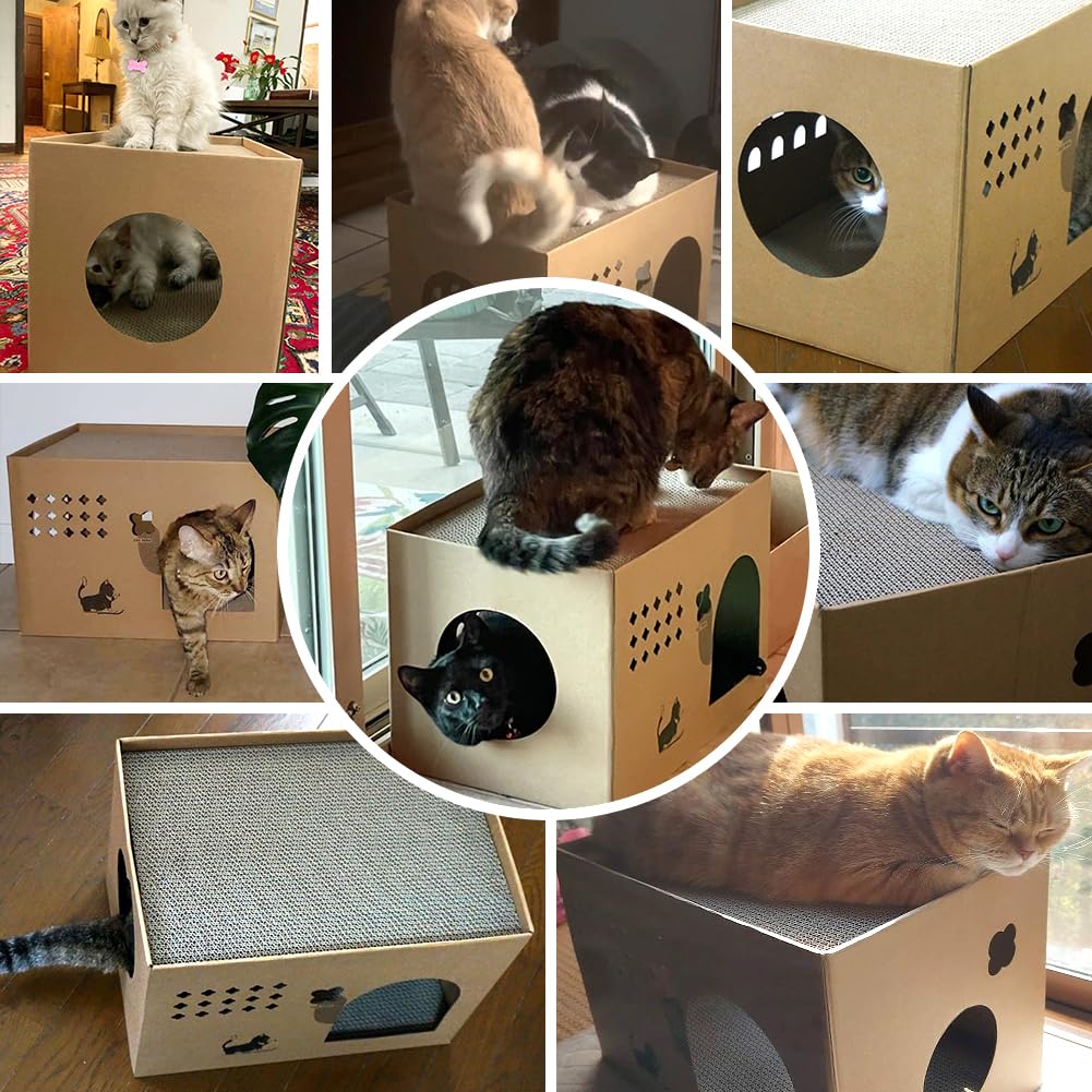 ARGOPET cat cardboard house cactus-entry showcases easy access for relaxed naps.