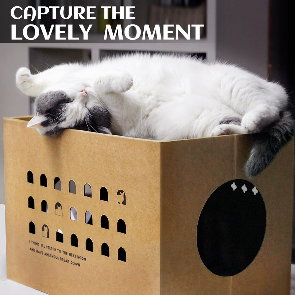ARGOPET cat cardboard scratch pads close-up highlights durable double-walled corrugated board.