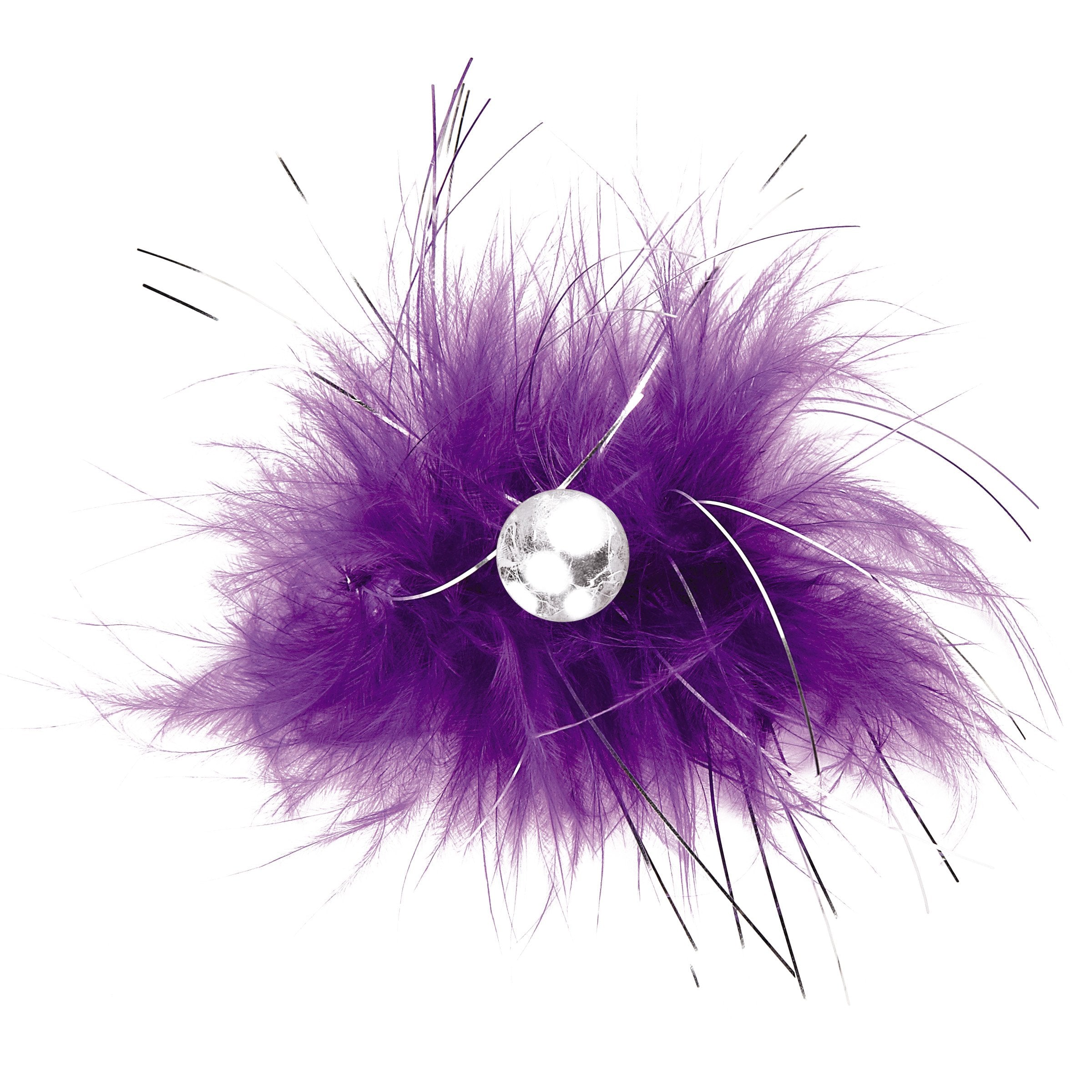 Aria Sparkle Feather Bows dog style application for photo ready looks