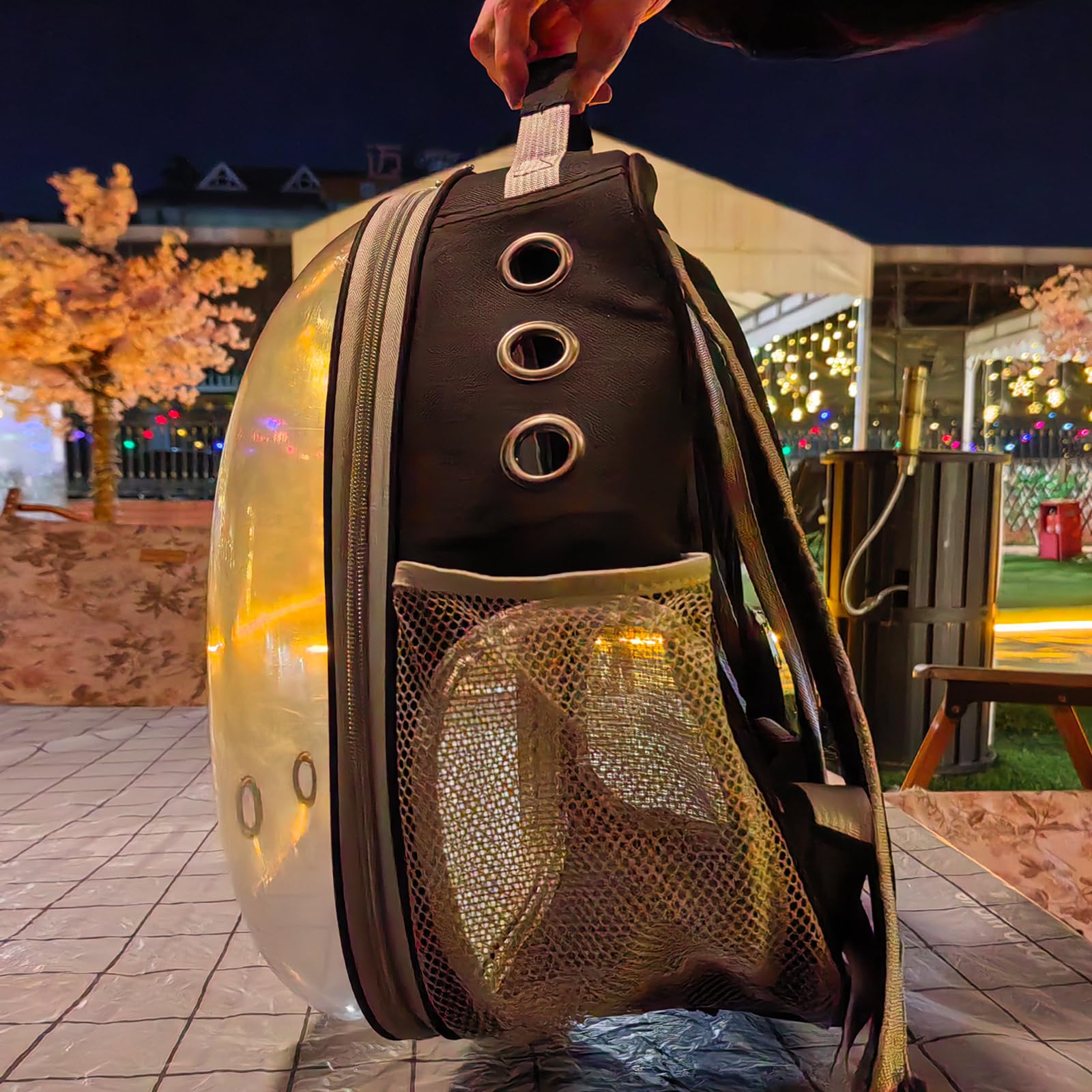 Arilaca cat carrier backpack dimensions 16.5 x 11.4 x 12.2 inches with top and side windows.