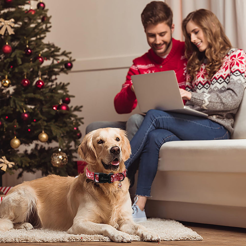 Aring Pet Christmas dog collar plaid design adds cheerful flair during family gatherings and walks.