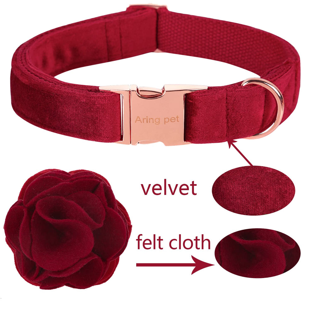 Aring Pet collar on puppy highlighting soft comfort during wear.