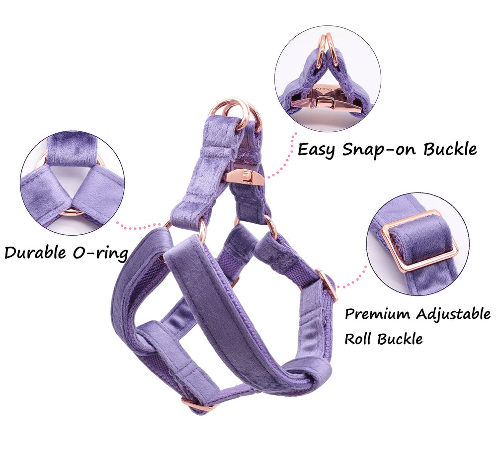 Aring Pet velvet harness with cotton webbing emphasizes durable comfort during hikes.