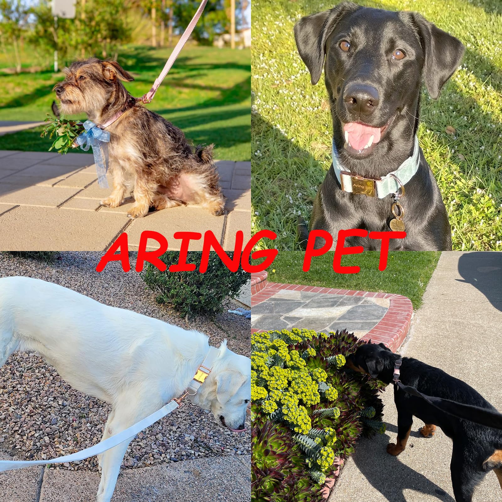 ARING PET dog leash velvet-soft close-up shows smooth texture for control