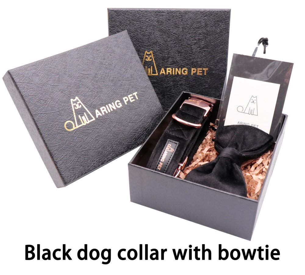 ARING PET Gift packaging presents a stylish collar ready for gifting.