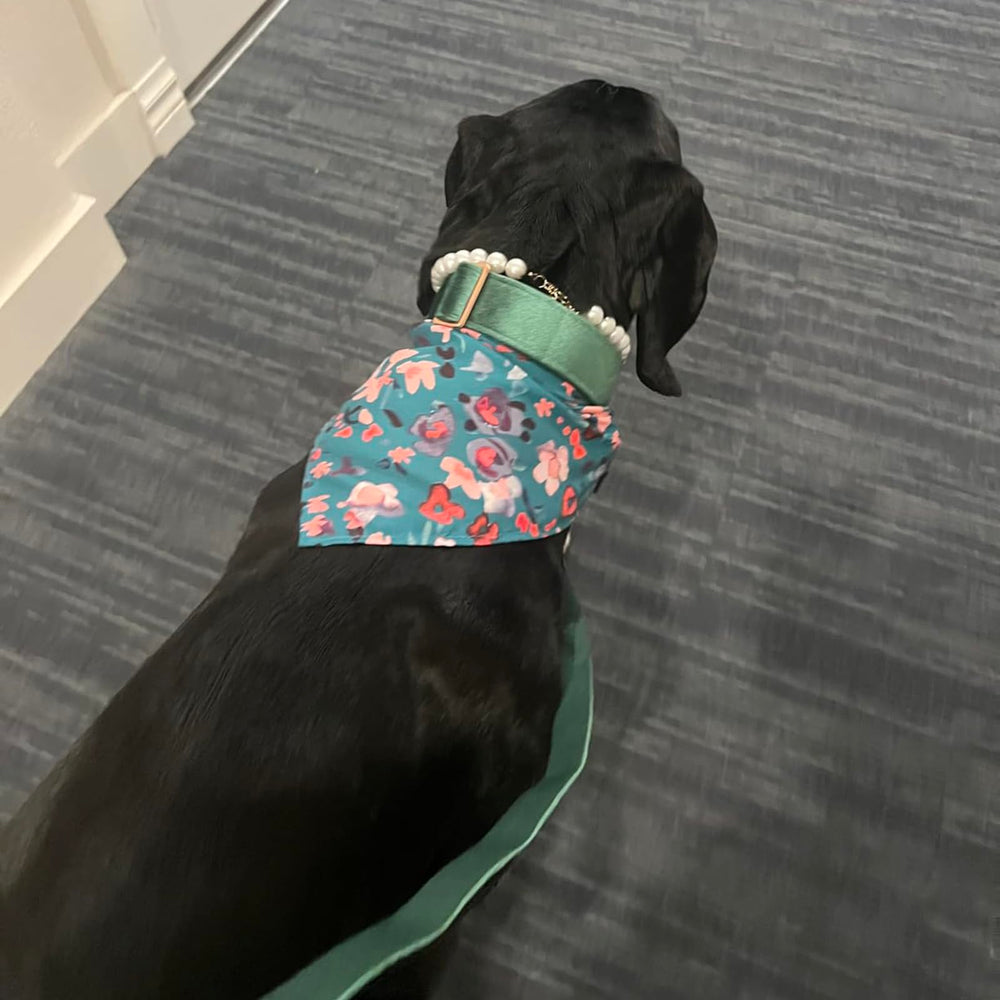 ARING PET velvet collar close-up highlights plush fabric and colorfast finish