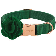Aring Pet velvet dog collar in dark green for daily stylish wear