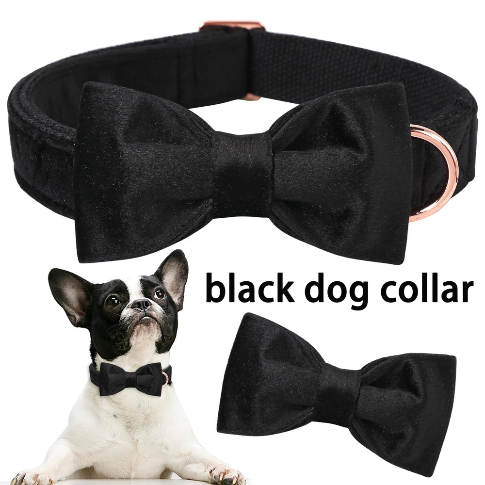 ARING PET Velvet dog collar highlights soft, colorfast fabric for comfortable wear.