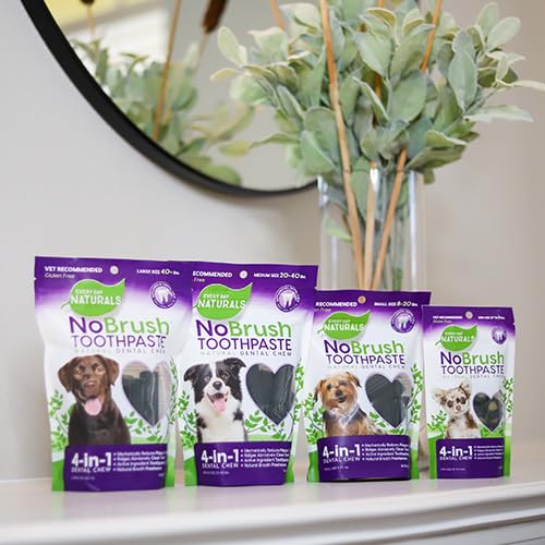 ARK NATURALS Every Day Naturals dog dental chew medium-dog serving illustrates recommended daily routine