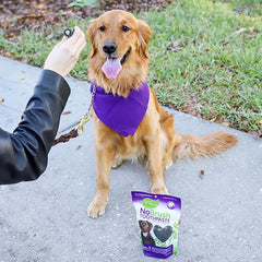 ARK NATURALS Every Day Naturals dog dental chew texture detail emphasizes plaque-reducing benefits