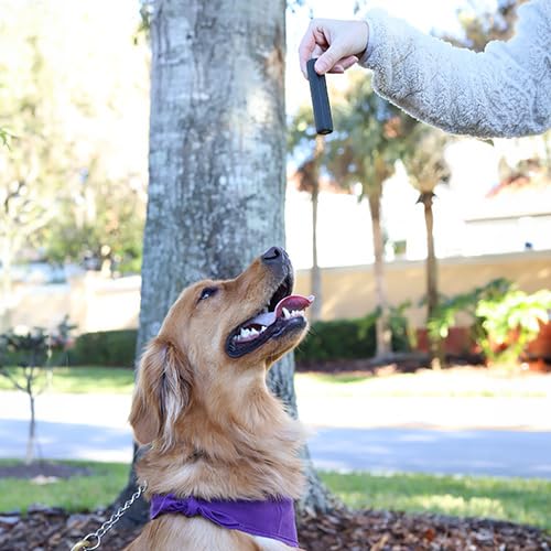 ARK NATURALS Every Day Naturals dog dental chew USA-made packaging highlights quality ingredients