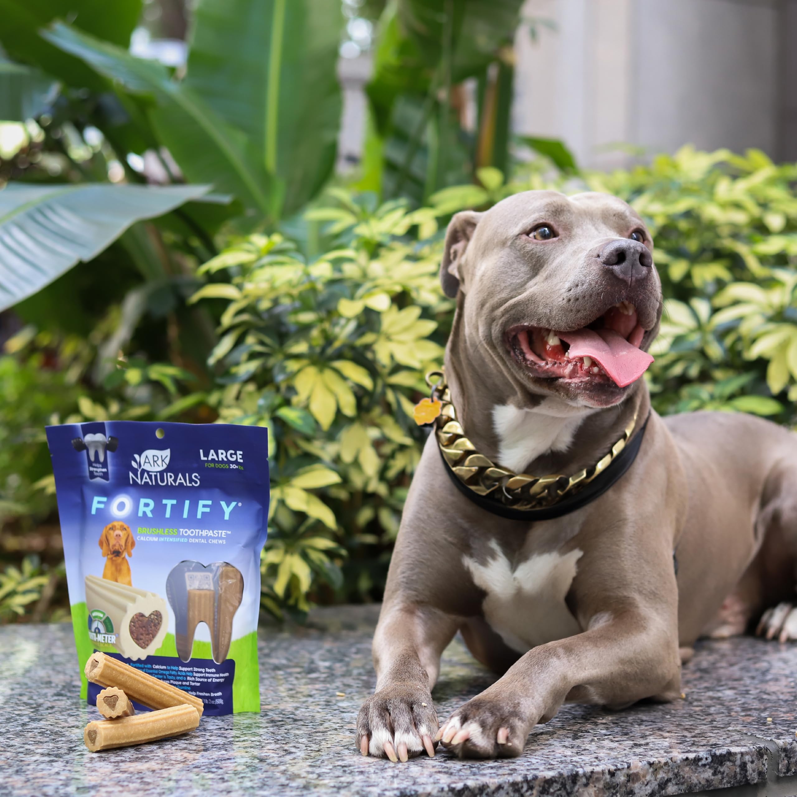 ARK NATURALS Fortify breath-freshening profile with alfalfa and cinnamon shown.