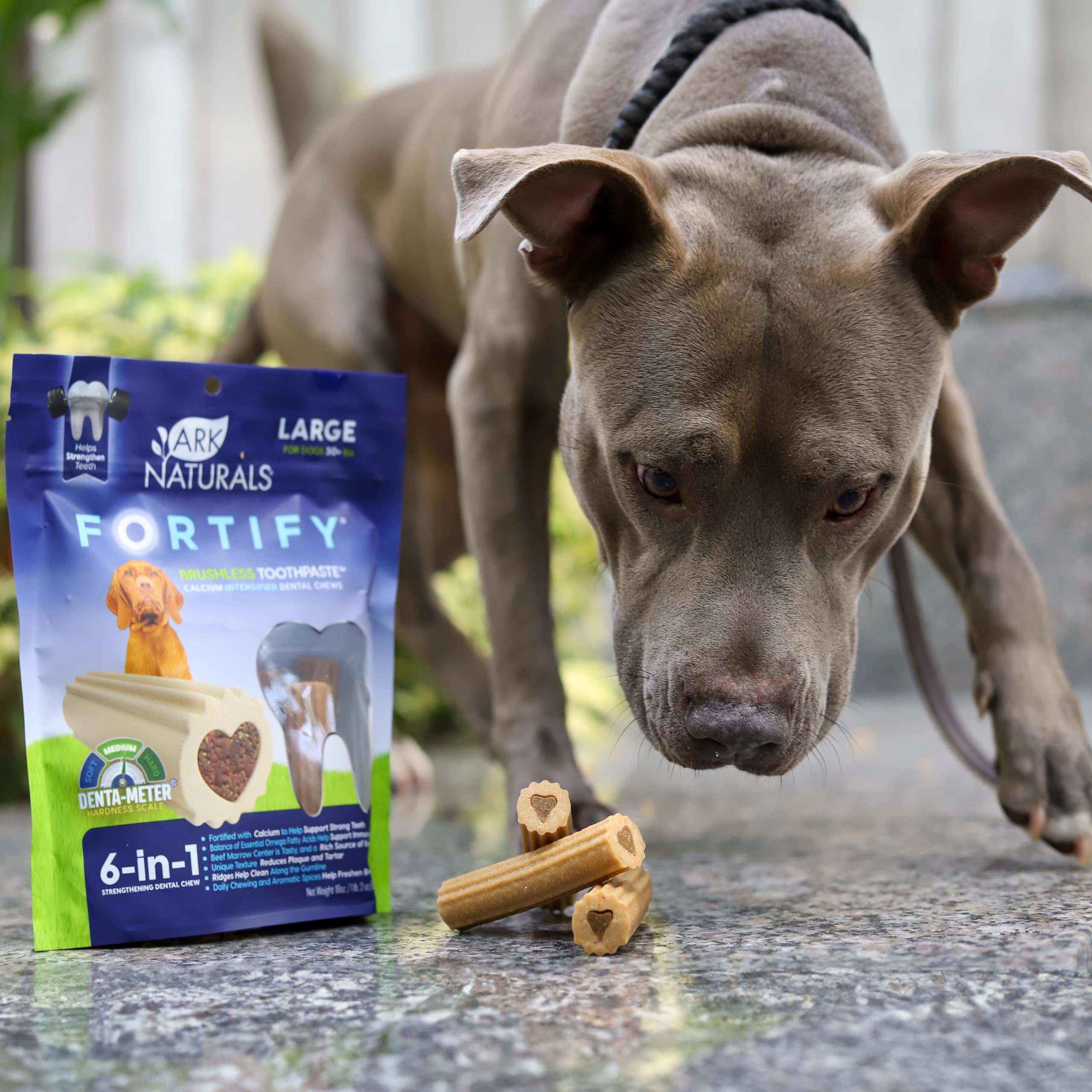 ARK NATURALS Fortify chews shown offering stress-free dental care for dogs.