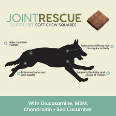 ARK NATURALS Sea Mobility joint rescue label closeup emphasizes glucosamine and chondroitin for mobility.