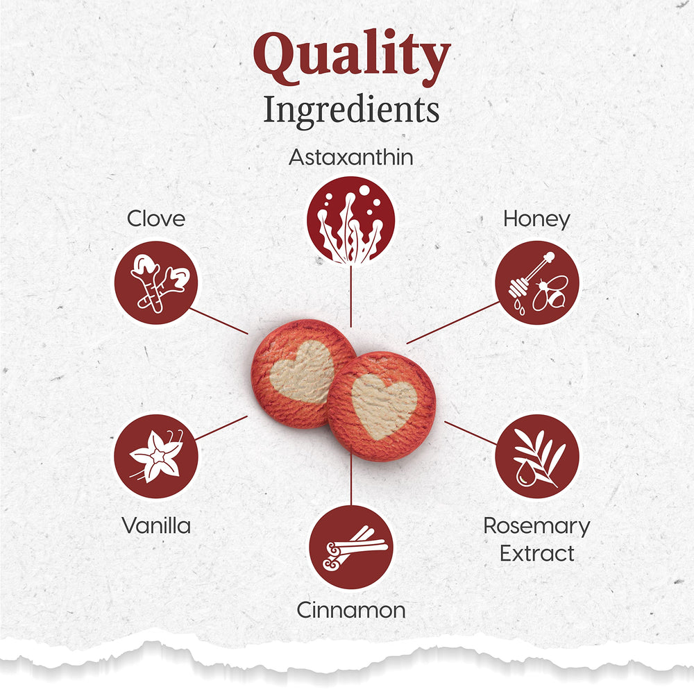 Small-breed friendly ARK NATURALS Soft Shield chew aiding gum support during daily sessions.