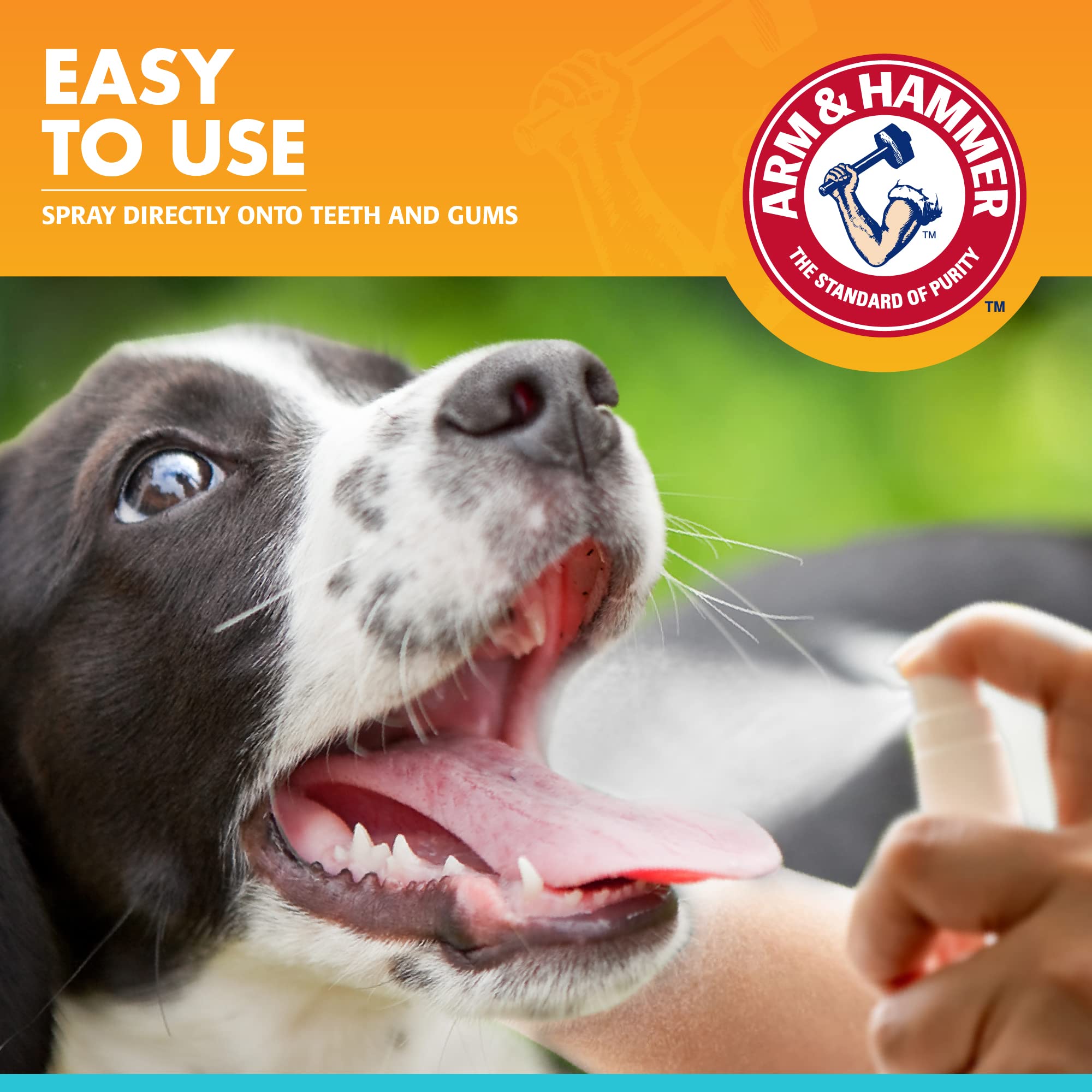 Arm & Hammer for Pets Fresh Breath Dental Spray application to dog teeth and gums.