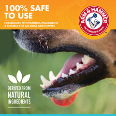 Arm & Hammer for Pets Mint closeup emphasizes refreshing breath for dogs.