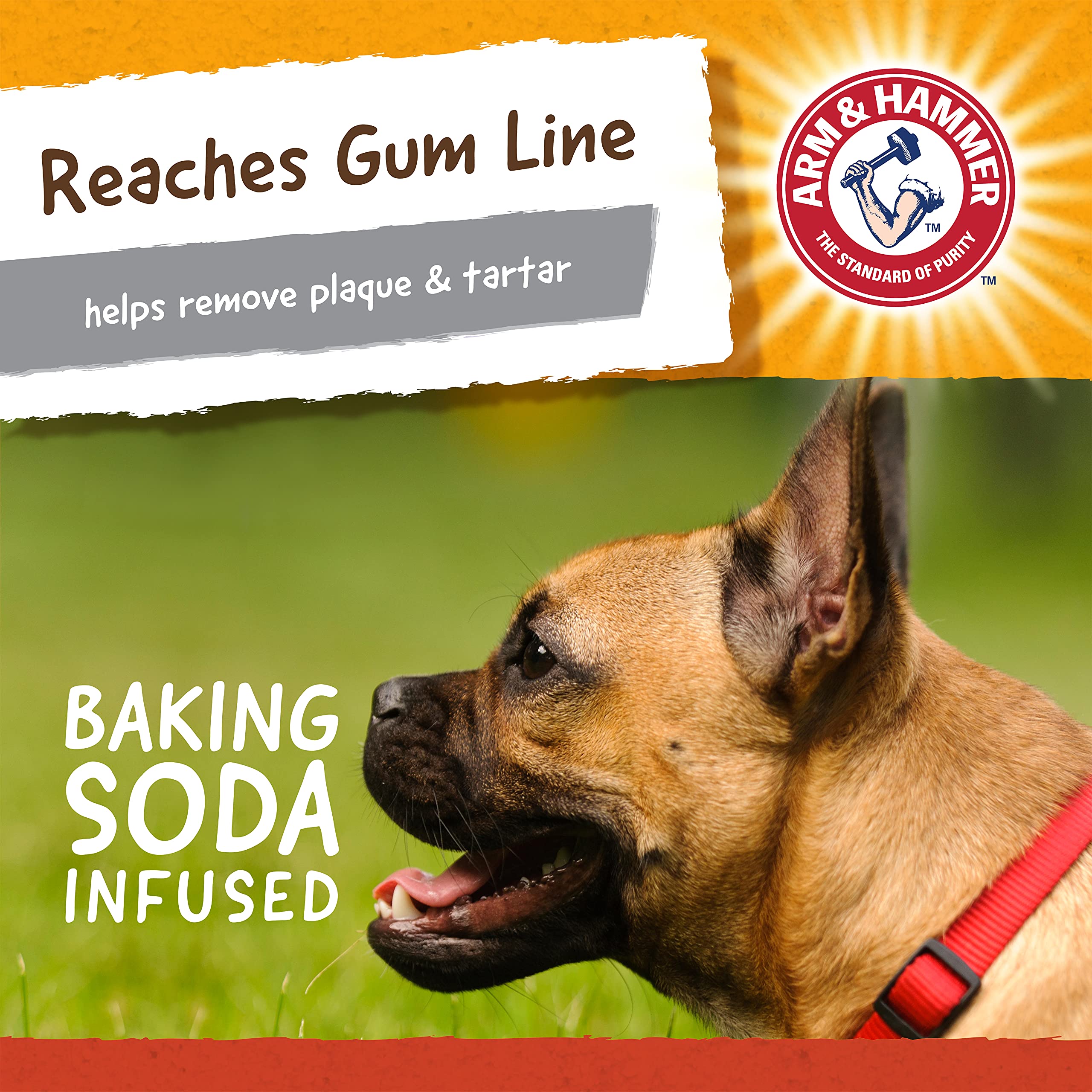 Arm & Hammer for Pets gorilla toy is dishwasher-safe for easy cleanup.