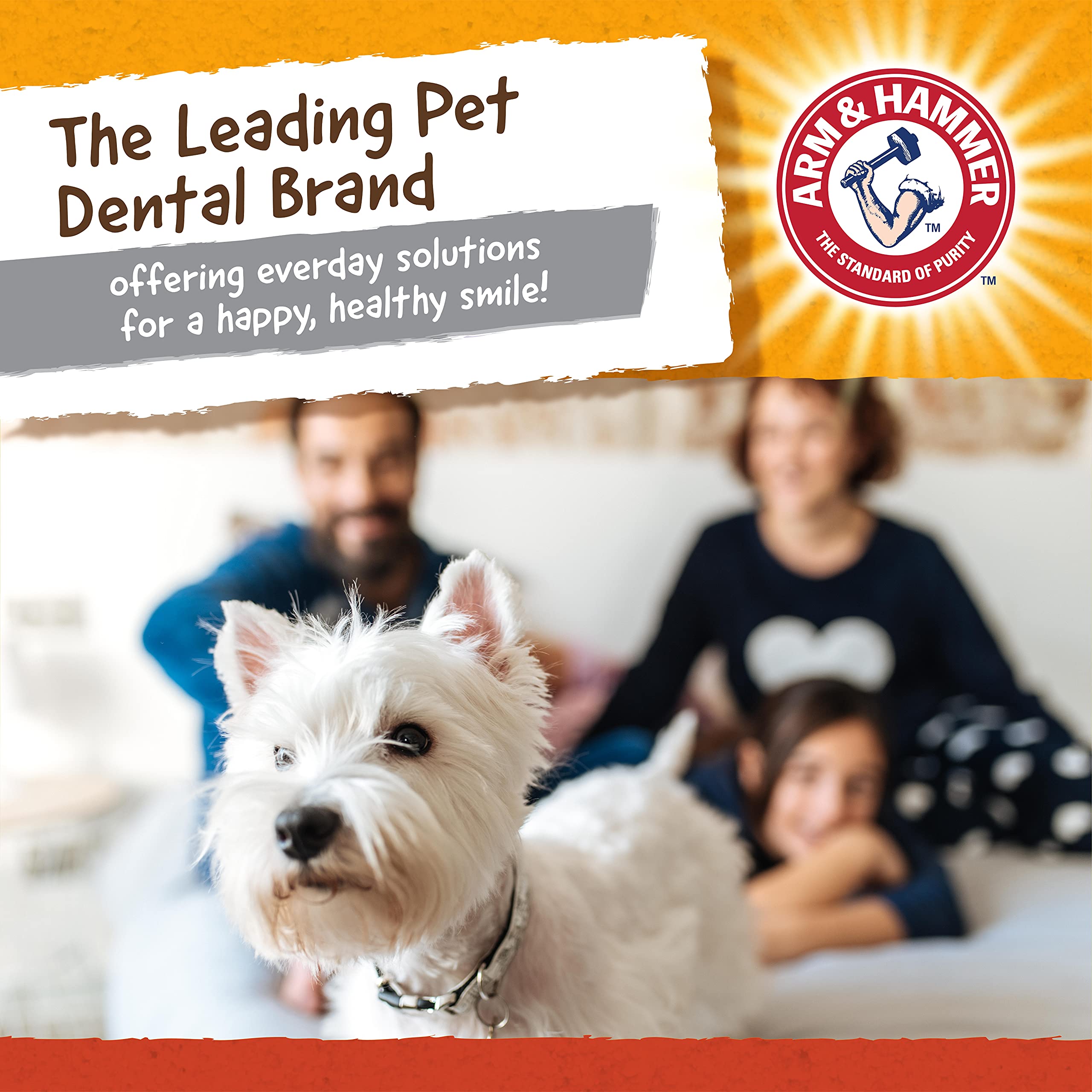 Small-dog friendly size helps dogs up to 25 lbs enjoy safe play.