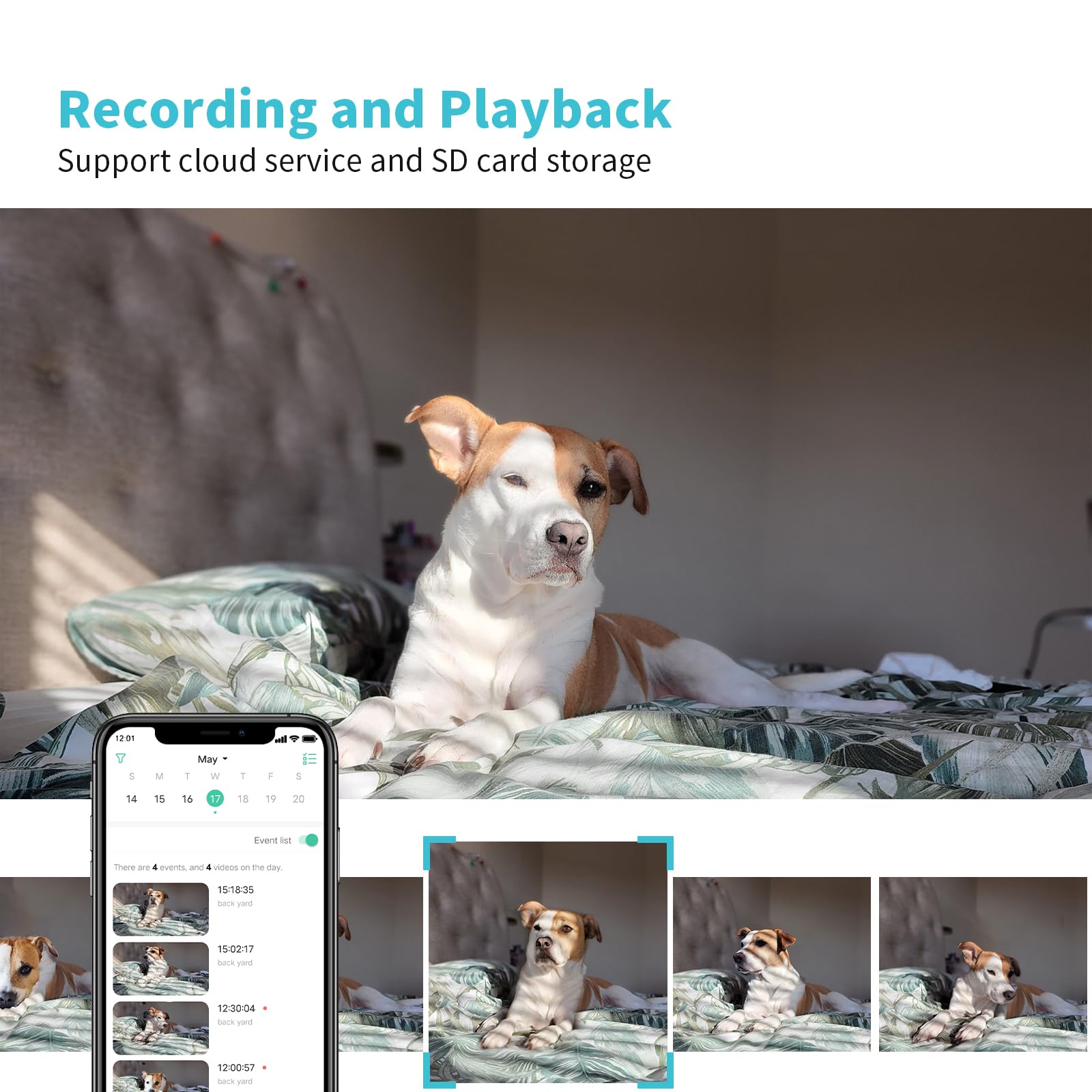 Armorcope cloud storage keeps footage secure with encryption options.