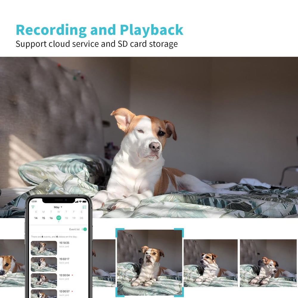 Armorcope pet camera local SD storage supports private video retention