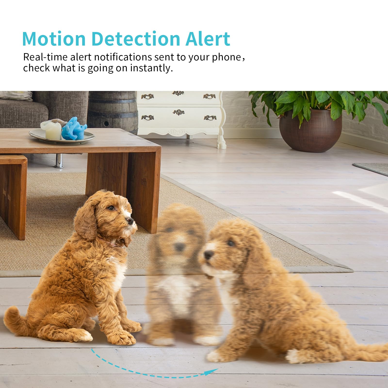 Armorcope pet camera two-way audio lets you talk to your pet from afar