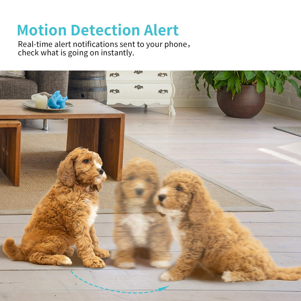 Armorcope pet camera two-way audio lets you talk to your pet from afar