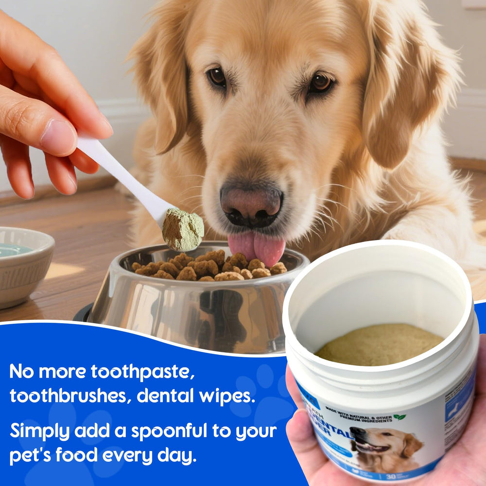 ARMOYA smiling dog with fresh breath after use