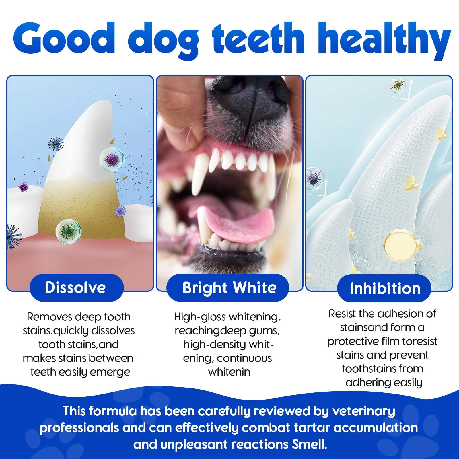 ARMOYA postbiotics illustration showcasing dental care support