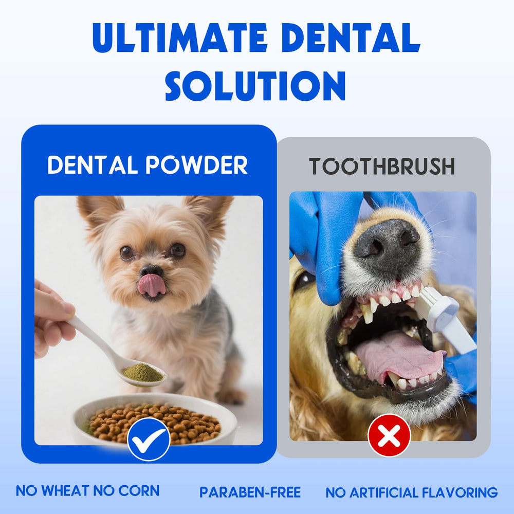 ARMOYA veterinary certification badge signals professional formulation
