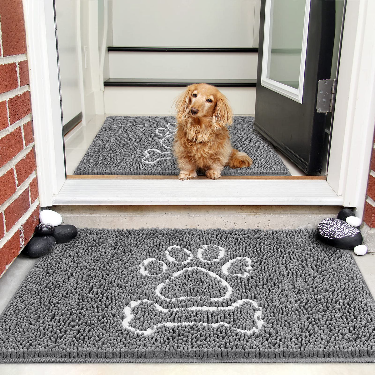 AROGAN dog doormat chenille at front door for quick water absorption