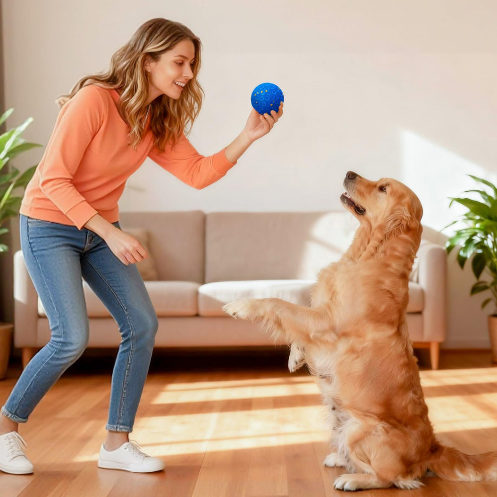 AronYada two-year warranty supports worry-free ownership of this dog toy.