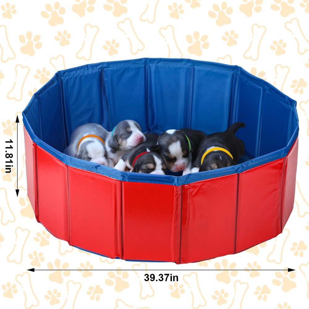 Arrowbash puppy feeding tubes with pacifiers provide precise, gentle feeding options.