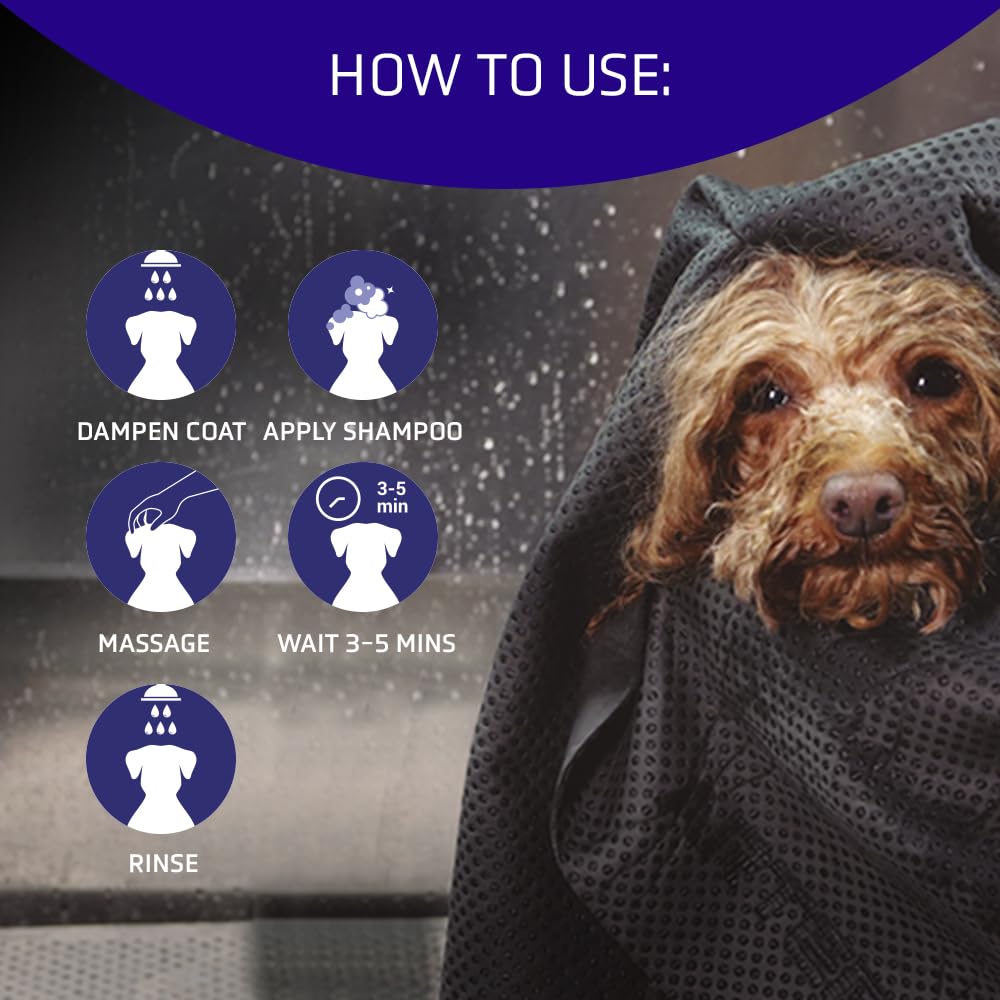 Artero Blanc wet dog close-up reveals brightening effect on coats.