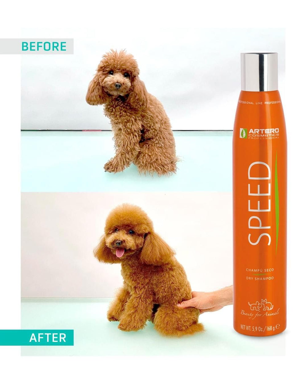 Artero Speed Dry Shampoo dirt-absorption shows odor removal for a cleaner coat.