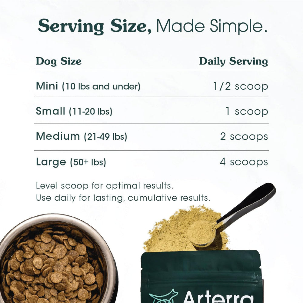 Arterra Dog digestive health scene with prebiotics and botanicals