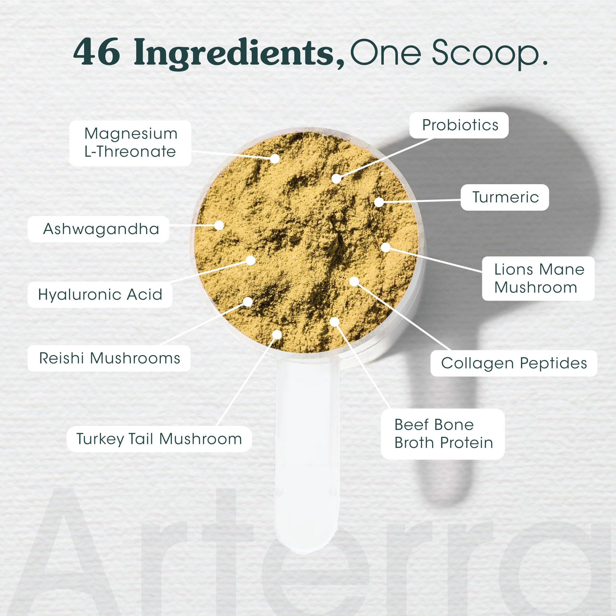 Arterra Dog joint support ingredients close up featuring glucosamine and chondroitin